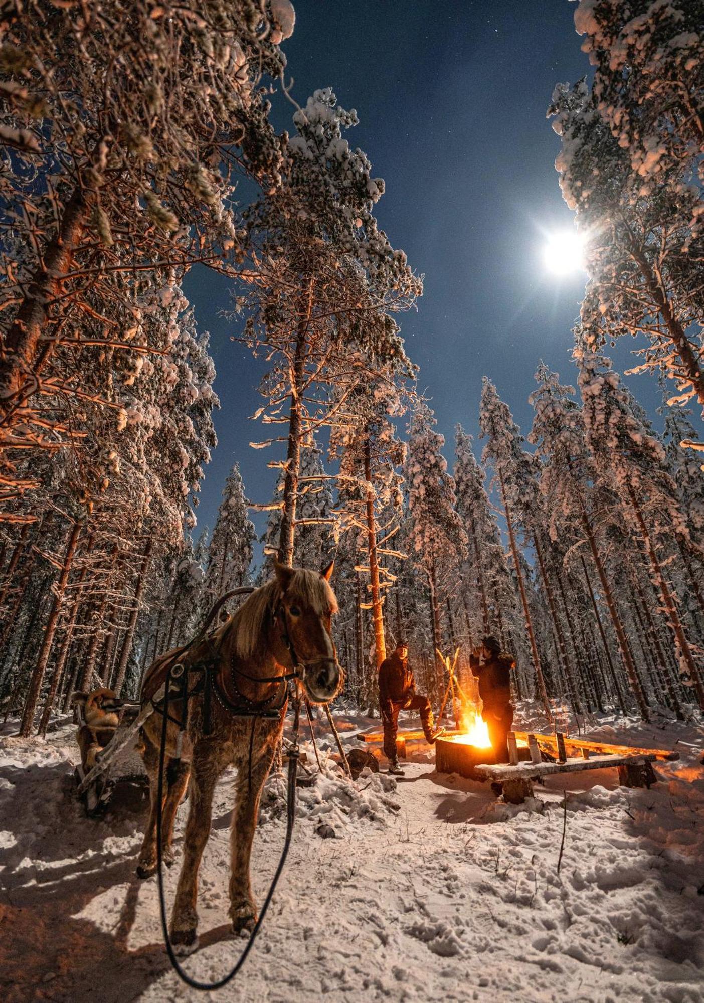 Hommala Villa Raiskio Exteriör bild